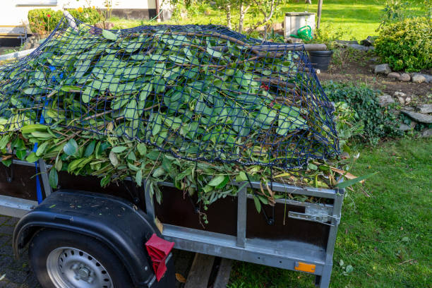 Best Shed Removal  in Kinsey, AL